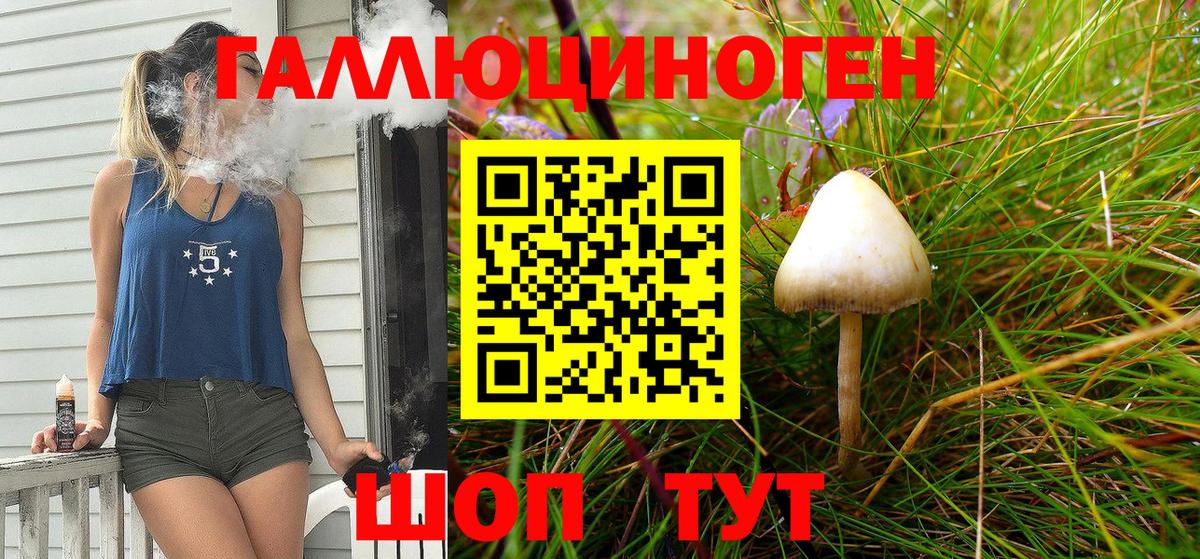Галлюциногенные грибы Magic Shrooms  Вход с VPN  наркошоп  Зерноград  Псилоцибиновые грибы ЛСД 